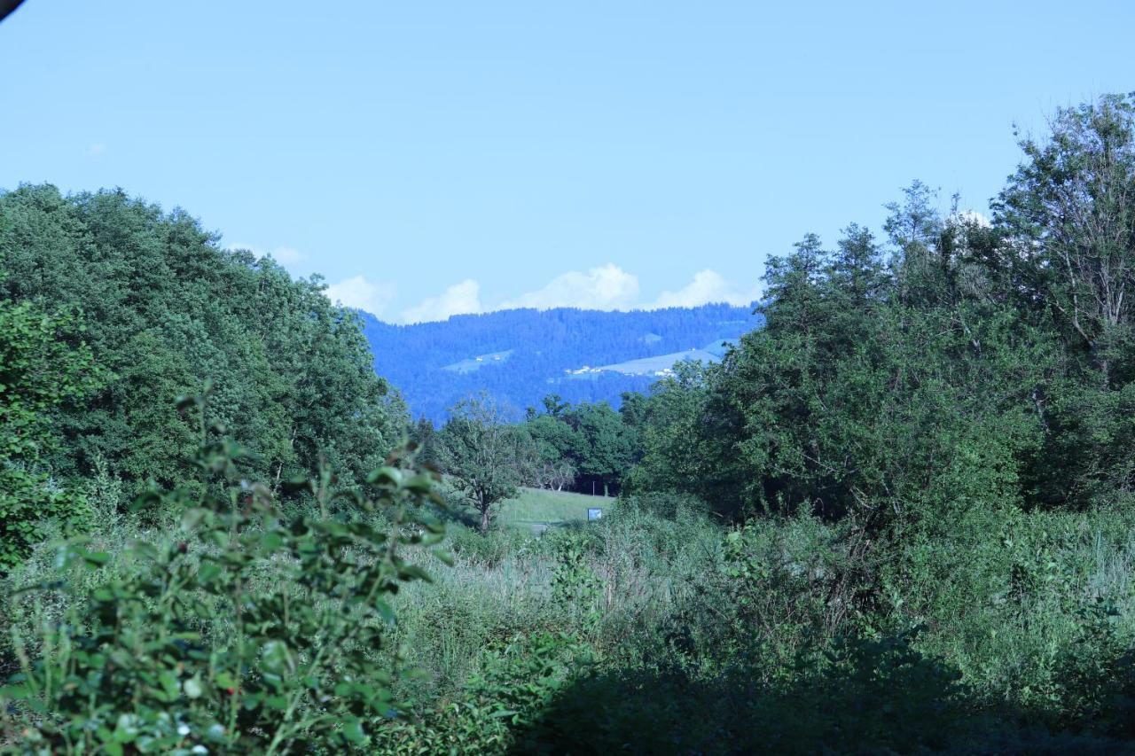 Wohnung #5 Mit Balkon - Zentrale Dennoch Ruhige Lage Mit Terrasse - Stadtbus Vor Der Tuer! Lindau  Bagian luar foto