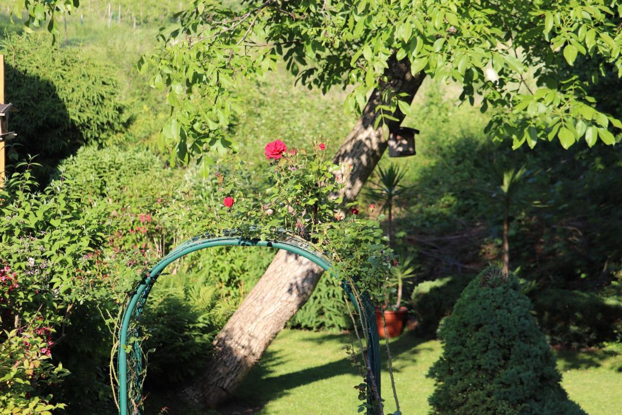 Wohnung #5 Mit Balkon - Zentrale Dennoch Ruhige Lage Mit Terrasse - Stadtbus Vor Der Tuer! Lindau  Bagian luar foto